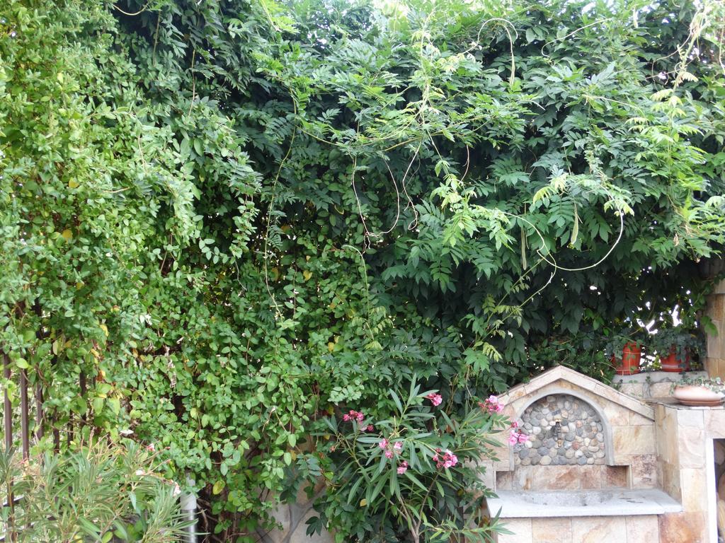 Guest House Ivel Sapareva Banya Esterno foto