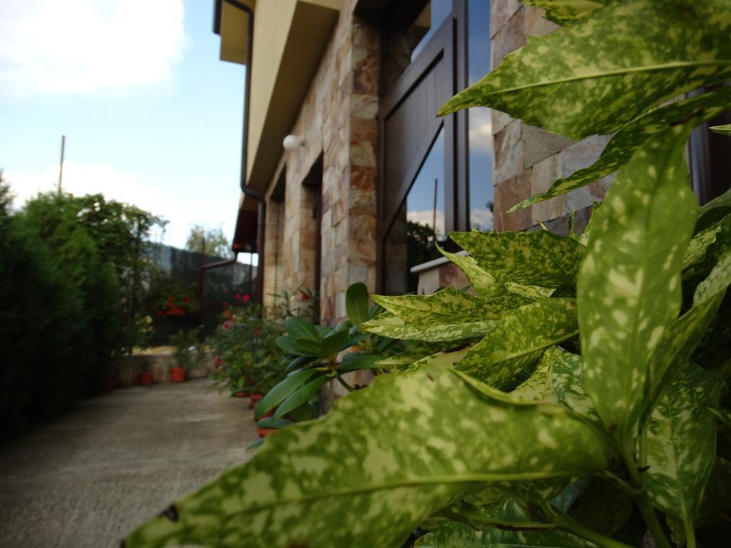 Guest House Ivel Sapareva Banya Esterno foto
