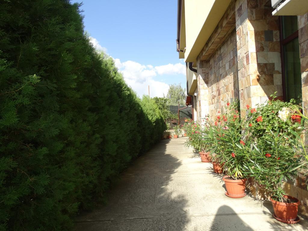 Guest House Ivel Sapareva Banya Esterno foto